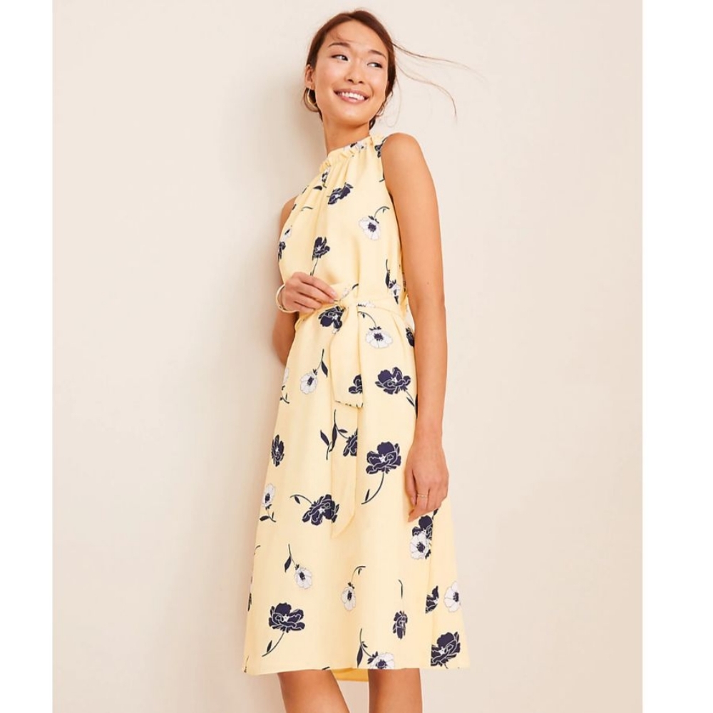 Ann Taylor Sunny Poppy Tie Waist Flare Dress